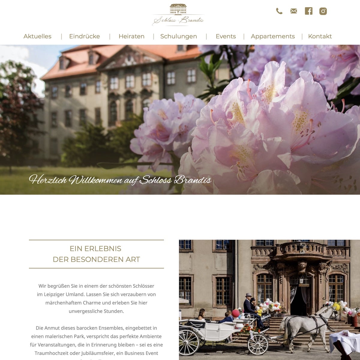 Homepage Referenz vom Webdesigner aus Leipzig: Schloss Brandis